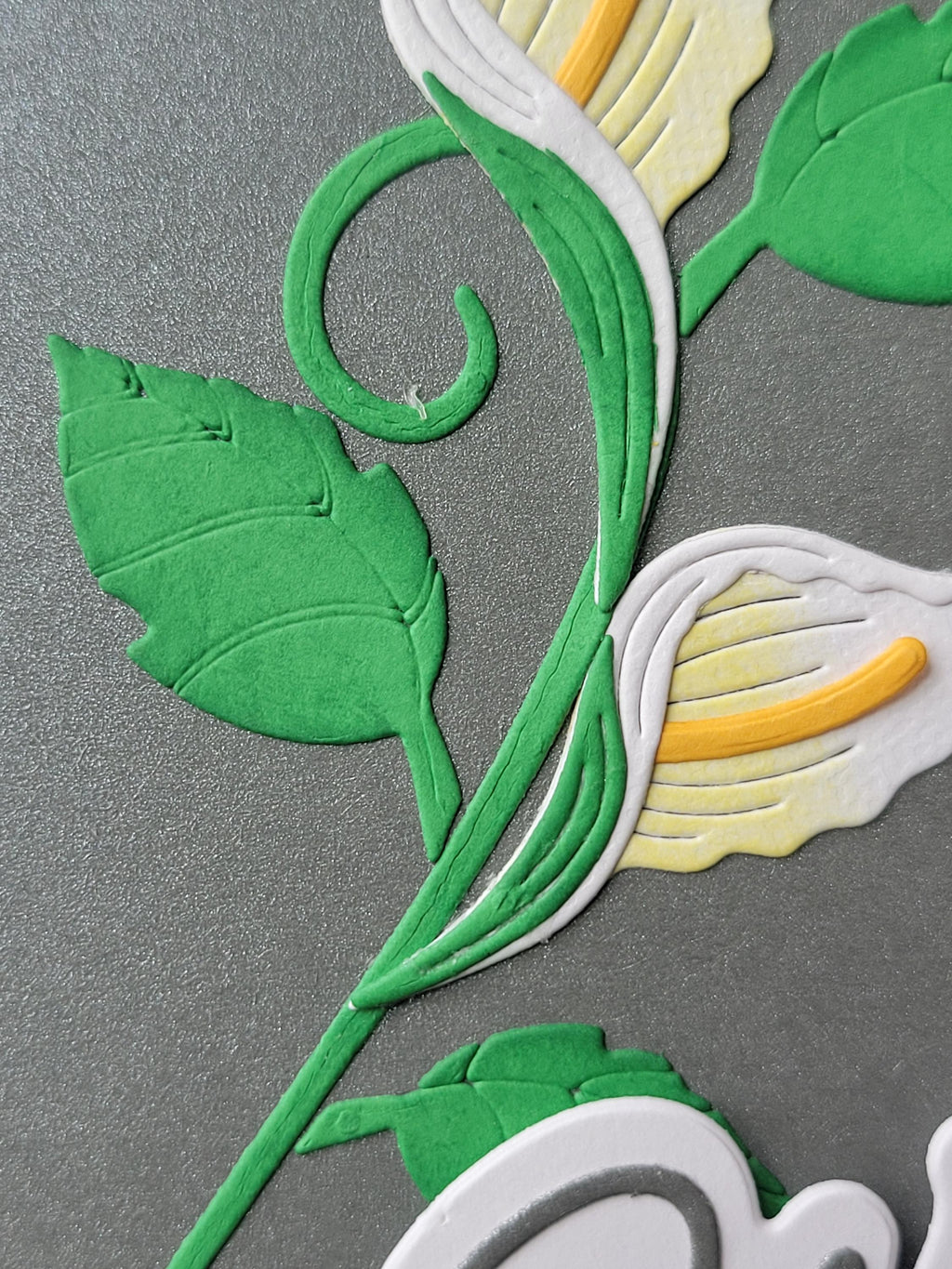 Peace Lily Condolence Card